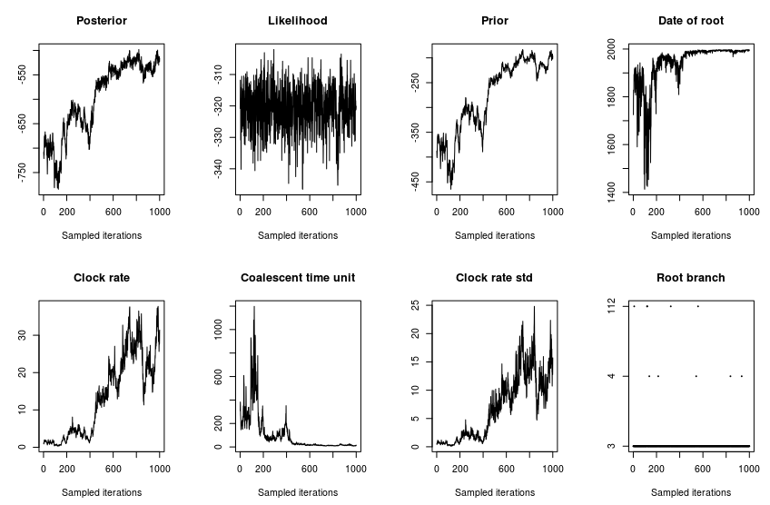 timed phylogeny