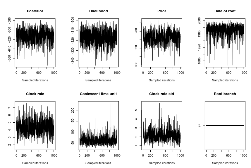 timed phylogeny