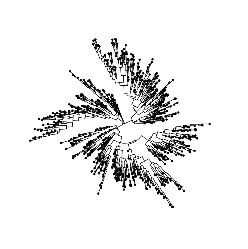 Circular layout