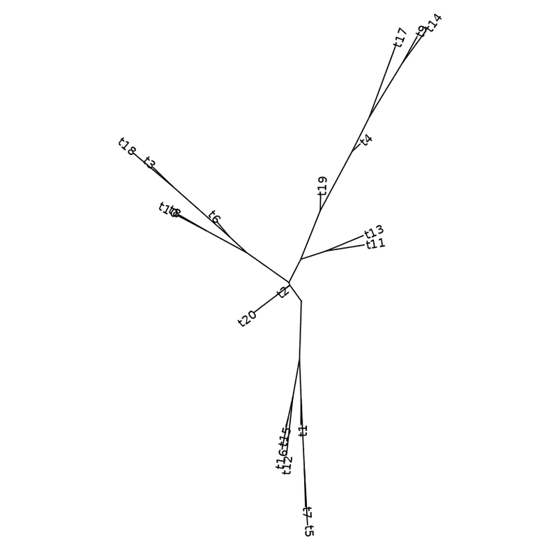 equal angle layout with labels