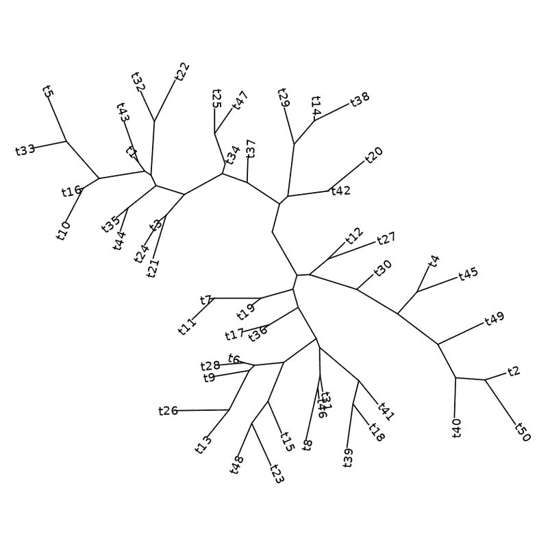 daylight layout with labels