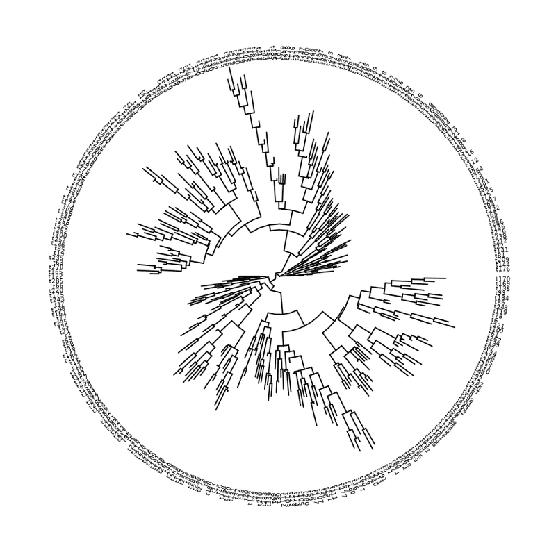 Circular layout with labels